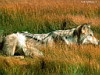 miniatura_72 copia